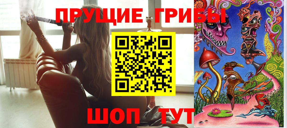 Гурьевск  Галлюциногенные грибы ЛСД  Вход с VPN 
